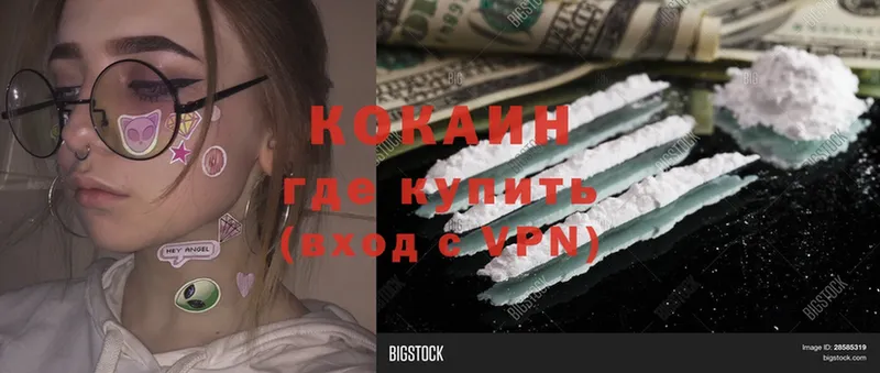 Cocaine Эквадор  shop как зайти  Горнозаводск 